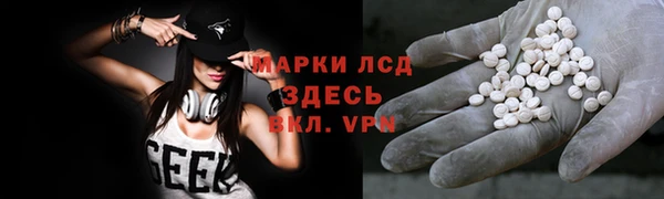 эйфоретик Кукмор
