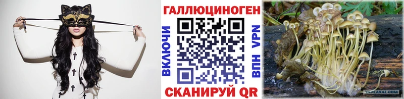 Псилоцибиновые грибы ЛСД  купить   Терек 